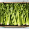 Fresh Celery (Can Tay) - 24ct